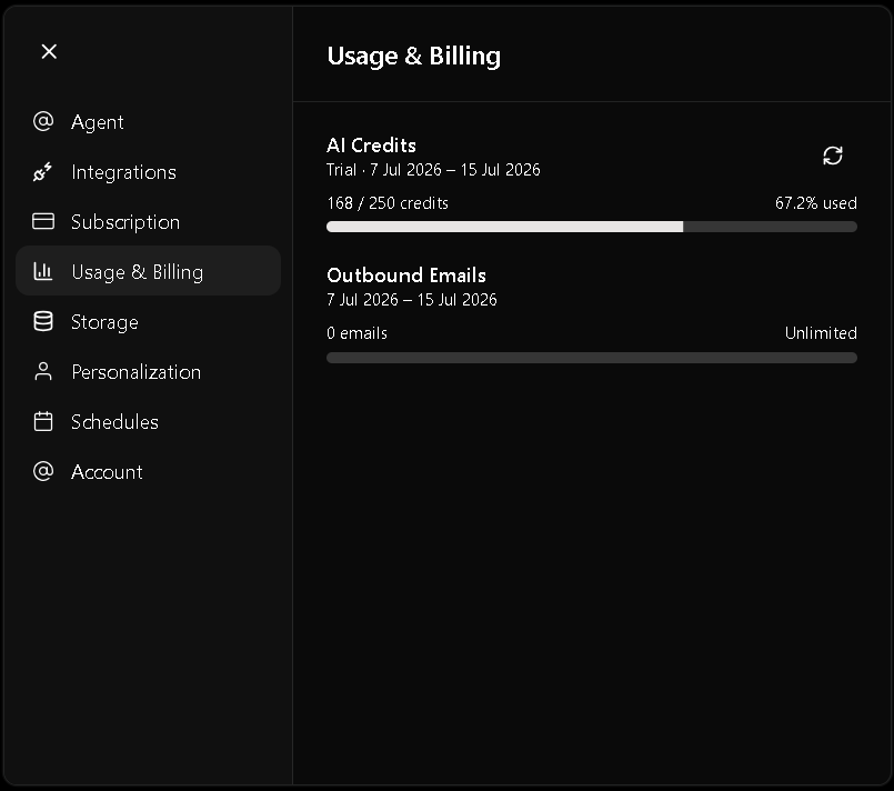 Usage page showing AI credits, email usage, and storage overview